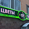 Маңдайшалар мен ресімдеу